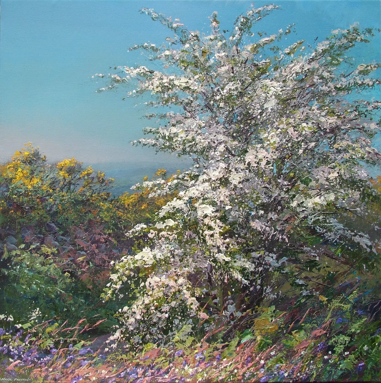 Mark Preston - mayblossom, alport height